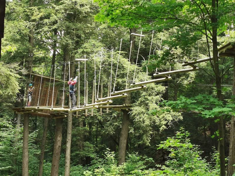 Treetop Eco-Adventure Park and iBOUNCE Trampoline Park - Image 2