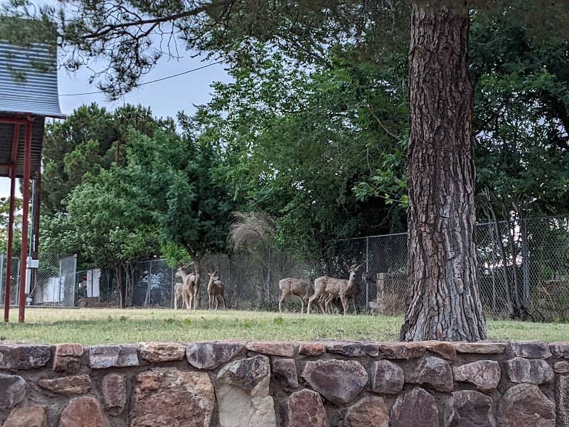 Baines Park - Image 1