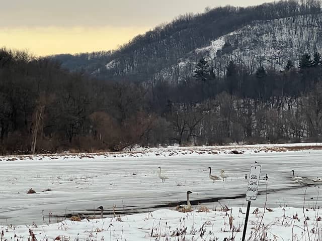 Whitewater Wildlife Management Area - Main Branch Unit - Image 2