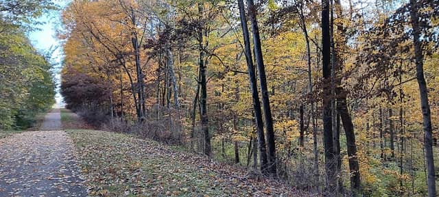 Tecumseh Trail Gettysburg, OH - Image 2
