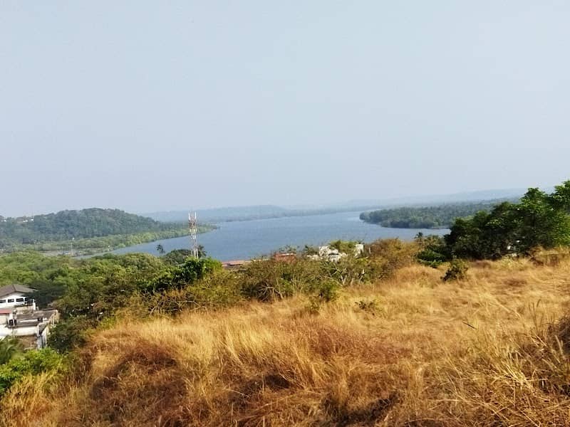 Madayi (river viewing point) - Image 1
