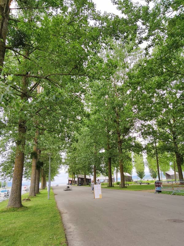 Parc des Rives du Lac - Image 1