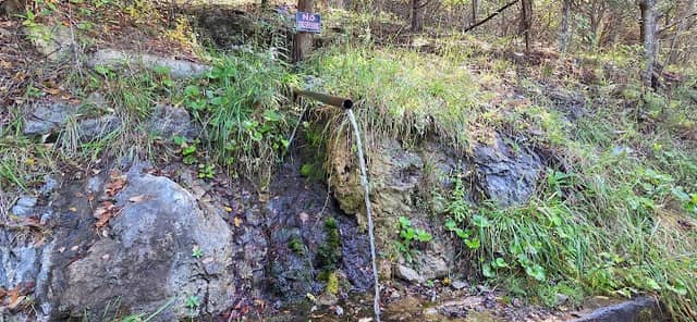 Natural Spring - Image 2