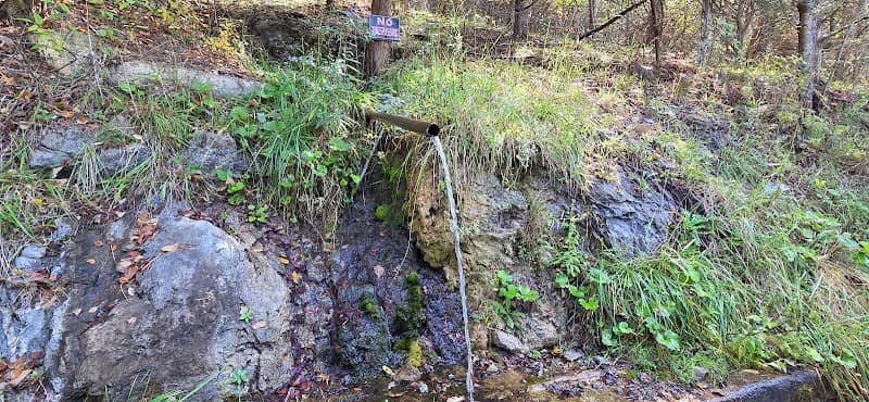 Natural Spring - Image 2