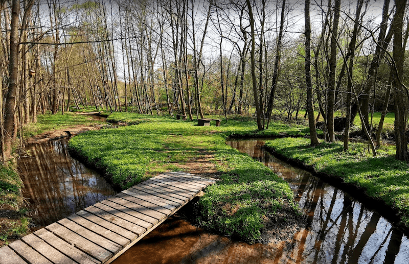 Wassertretbecken Schönbrunn i. Steigerwald - Image 1