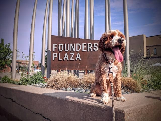 Founders Plaza - Image 1