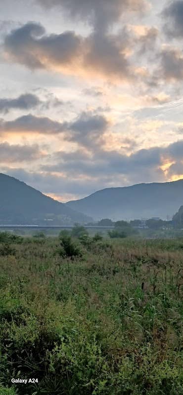 체육공원 - Image 1