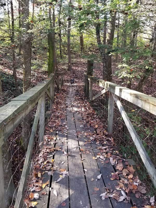 Public Park - Image 1