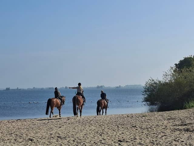 Strand Stad aan 't Haringvliet - Image 1