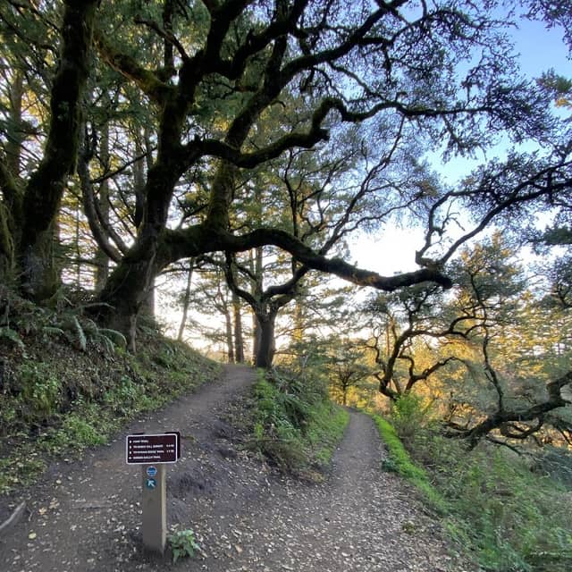 Windy Hill Open Space Preserve - Image 1