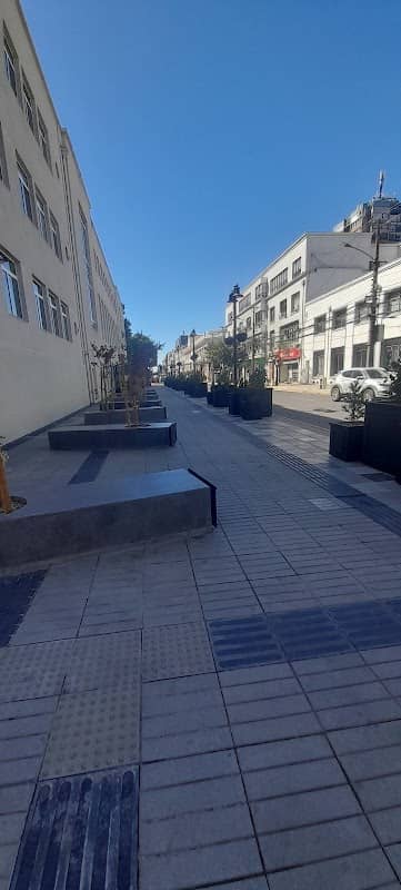 Paseo de los Artistas de Ñuble - Image 1