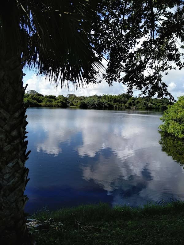 Manatee Park - Image 1
