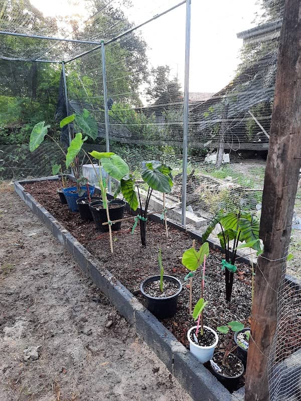 My World Garden - Image 2