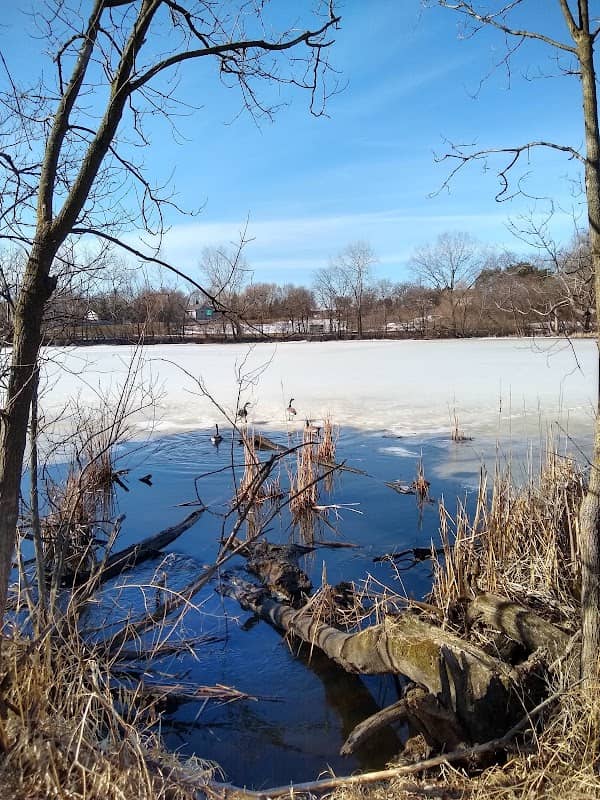 Oak Shores Park - Image 1