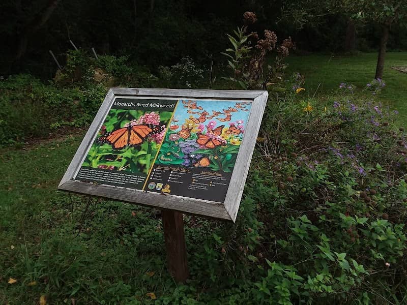 Monarch Butterfly Garden - Image 1