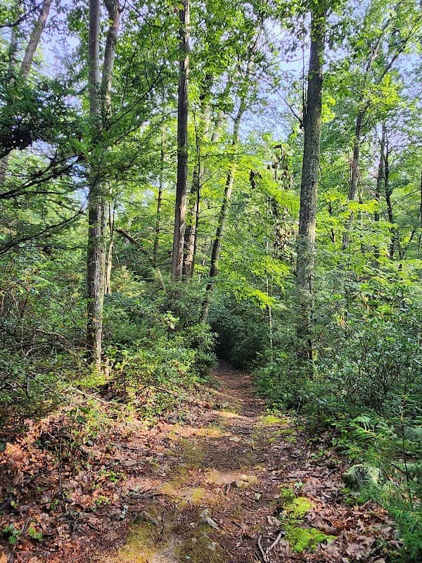 Hosack Trail - Image 2