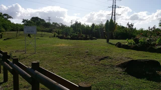Green spot - Image 1