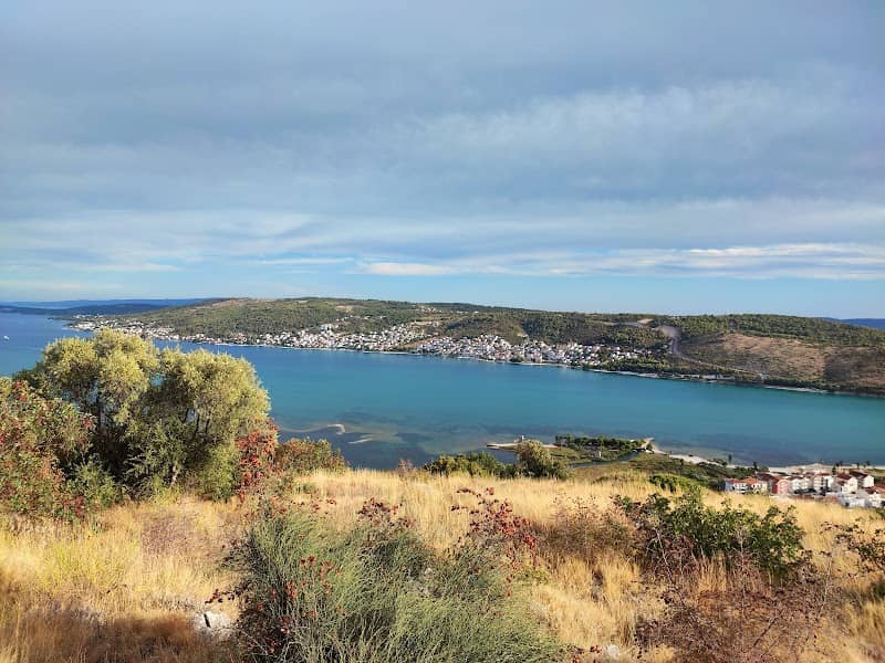 Viewpoint - Image 1