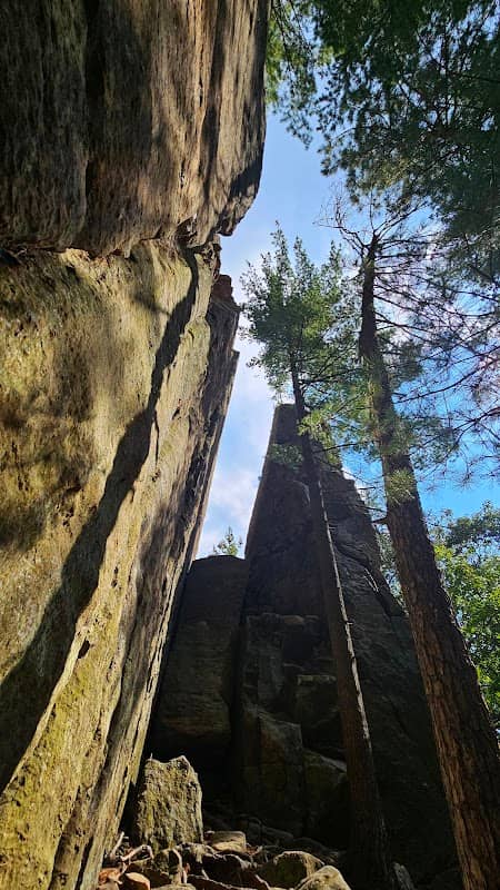 Petenwell Bluff Trailhead - Image 1