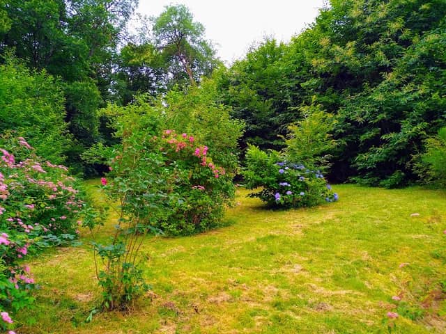 Chauverne-Neyre - Image 1