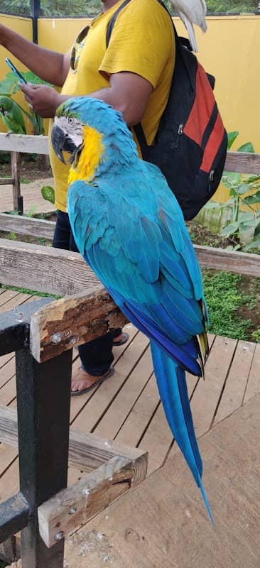 Fundera park - Birds park - Image 1