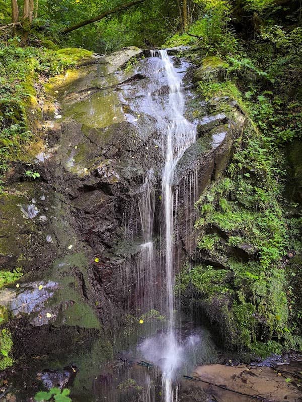 Cascada Valea Sasului - Image 1