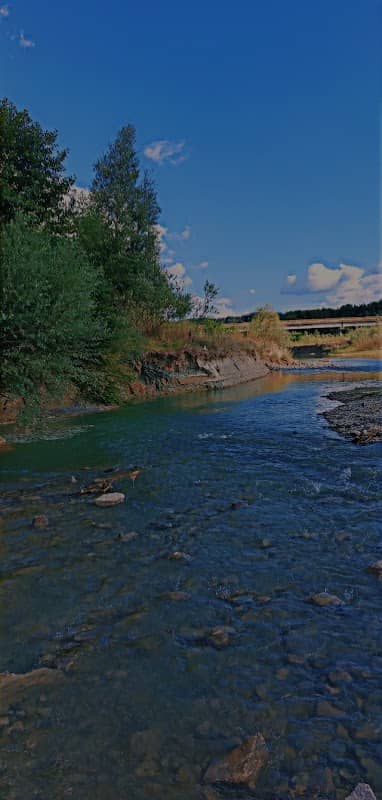 Izvorul Dănuț - Image 1