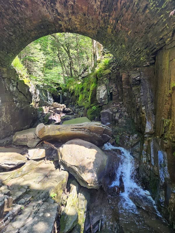 Devil's Path Trail - Image 2
