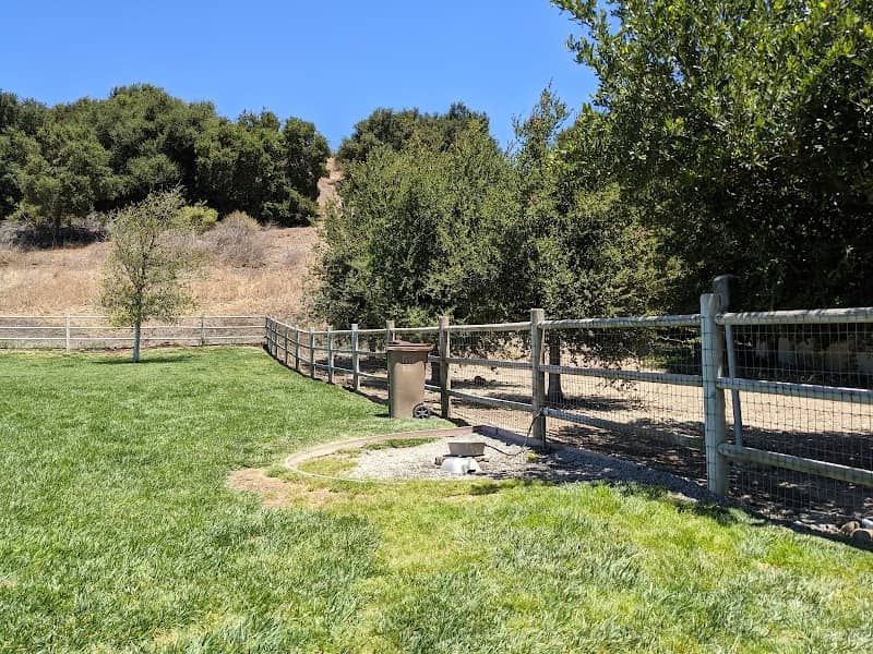 PAWS Park - Image 2
