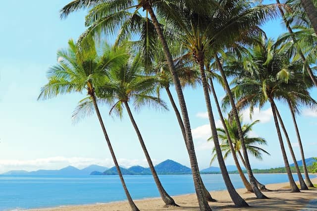 Palm Cove Beach - Image 1