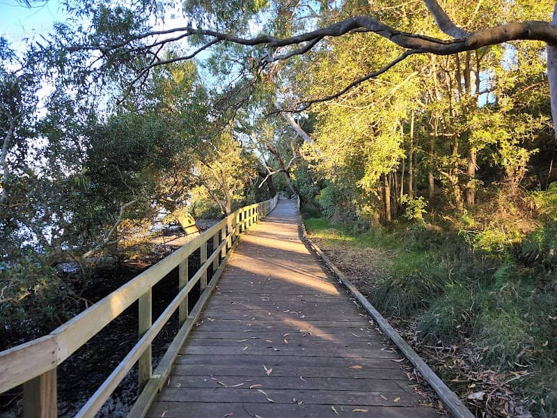 Koala Reserve (Mangrove Boardwalk) - Image 1