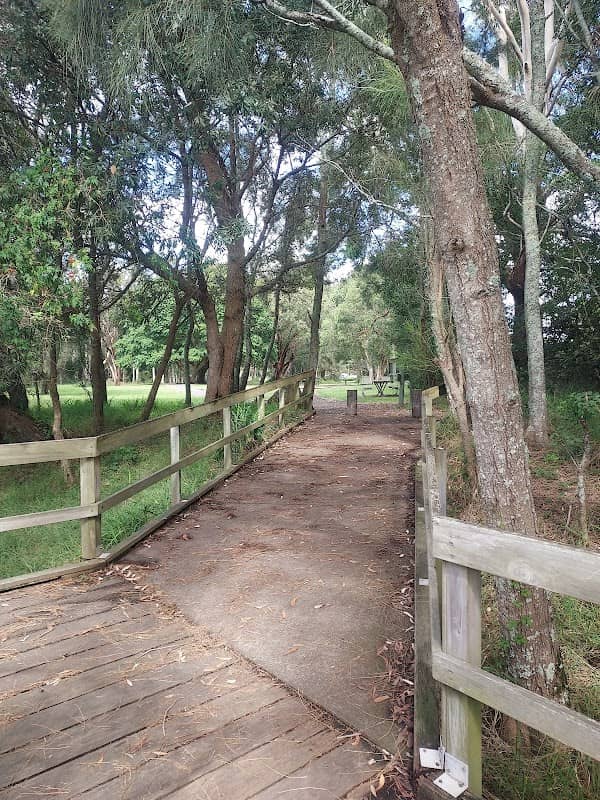 Koala Reserve (Mangrove Boardwalk) - Image 3