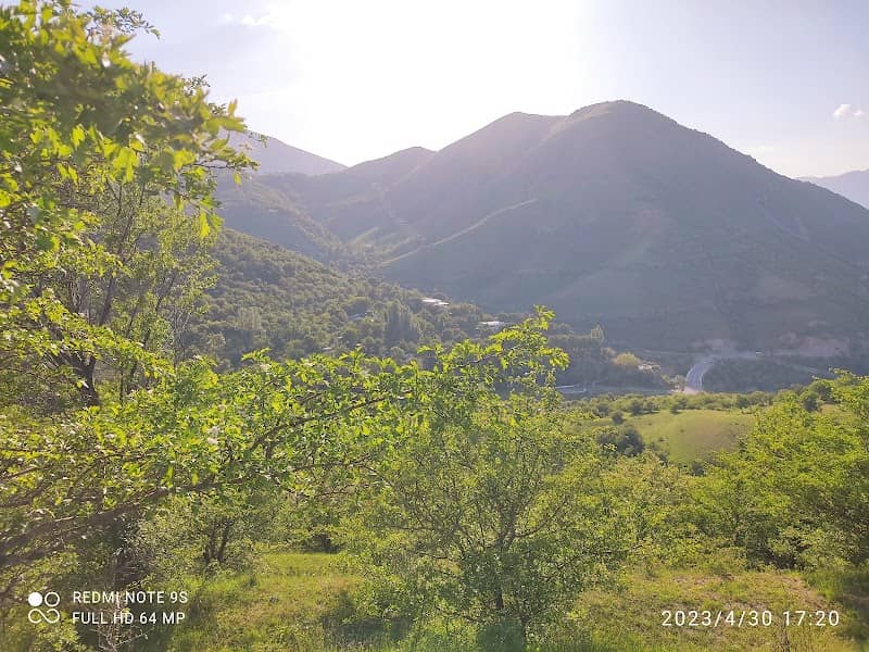 Brichmulla, Charvak - Image 1
