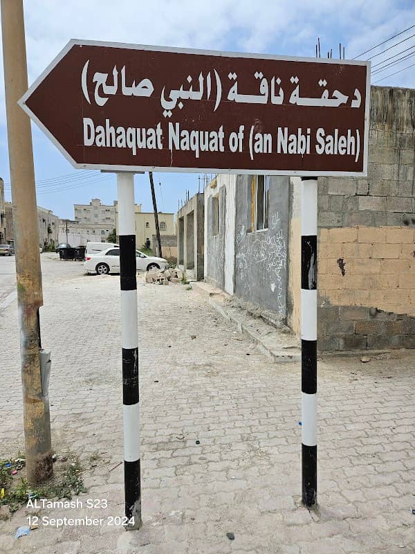 The crush of the Prophet Saleh's camel - دحقة ناقة النبي صالح - Image 2