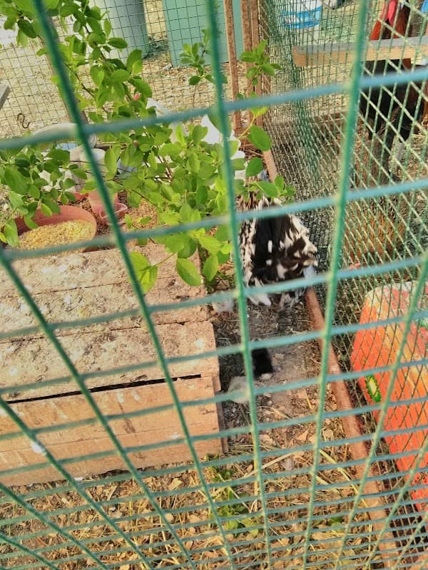 Child park - Image 1