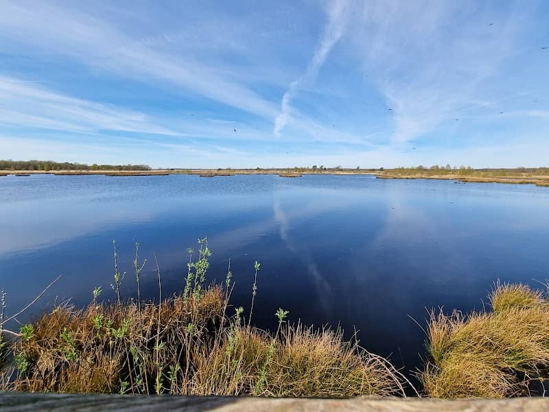 Vogelkijkhut Holtveen - Image 1