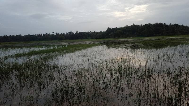 Melaamthurthu-meladoor View Point - Image 1
