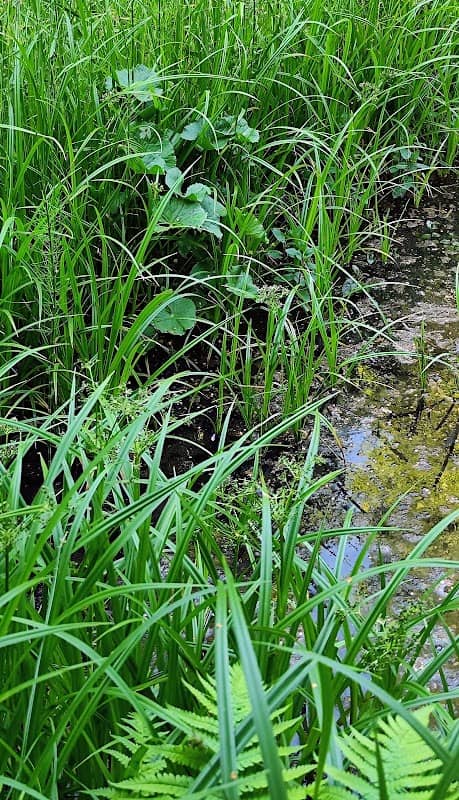 Biotop, Naturschutzgebiet - Image 1