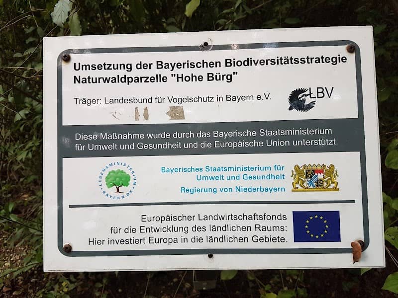 Hohe Bürg - Image 2