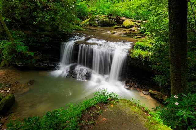 Finn's Falls - Image 1