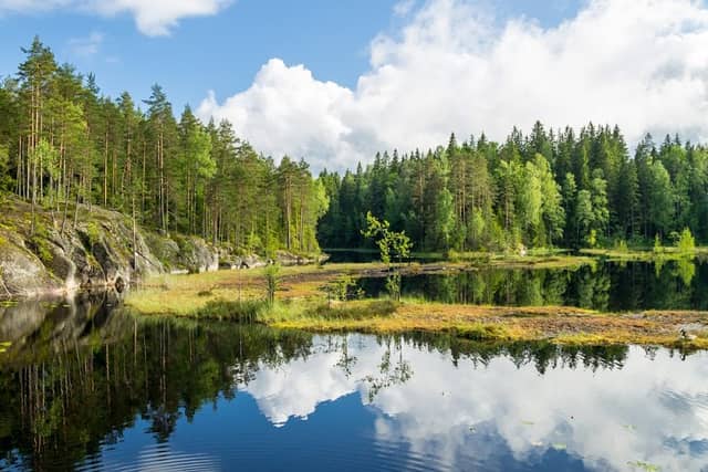 Nuuksio National Park - Image 1