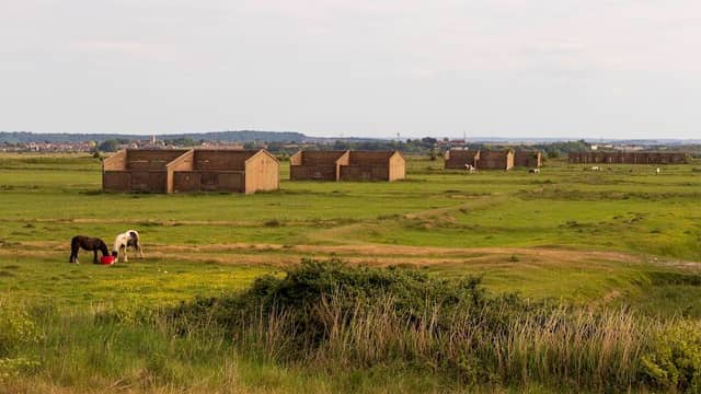 Pipe Pool Mound - Image 2