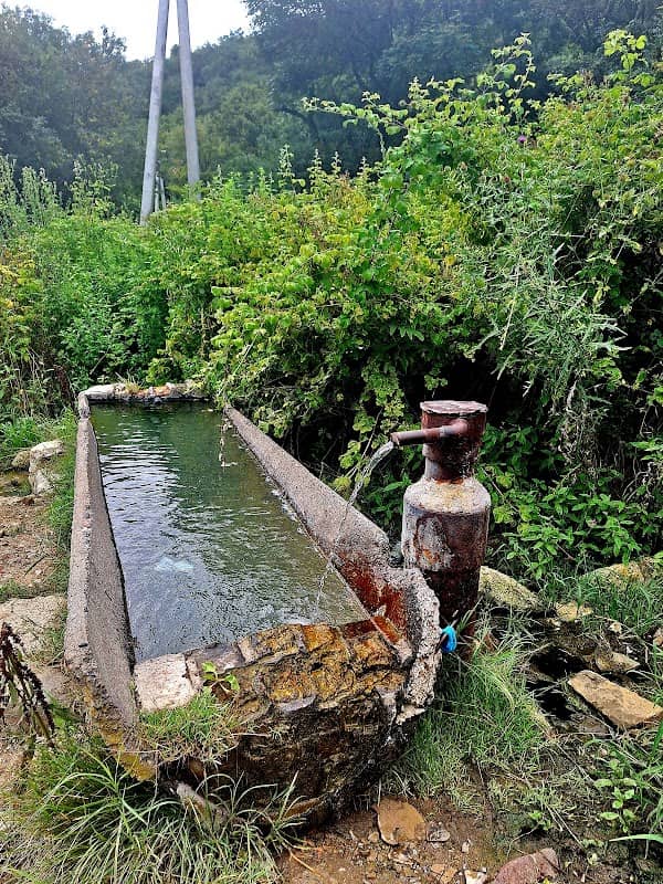 გოგირდის წყარო / Sulfur spring - Image 1