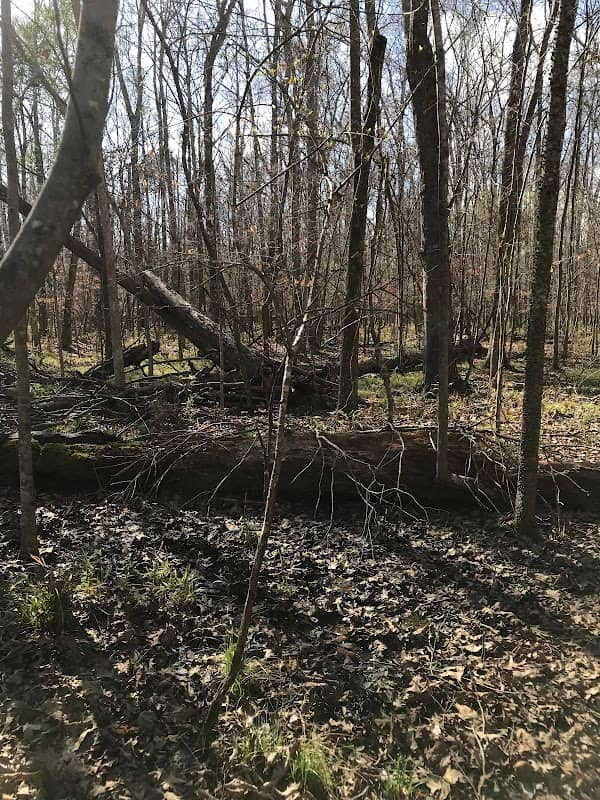 Ryan Creek Park - Image 2
