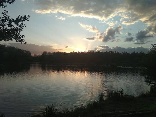 Les - Image 1