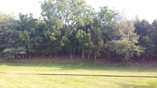 Highland Estates Retention Park - Image 2