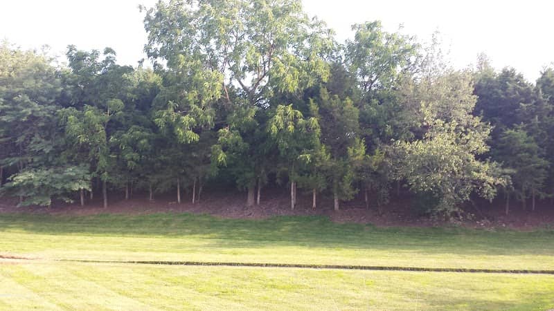 Highland Estates Retention Park - Image 2
