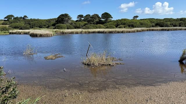 Port Hellick Seaward hide (Bird Hide) - Image 2