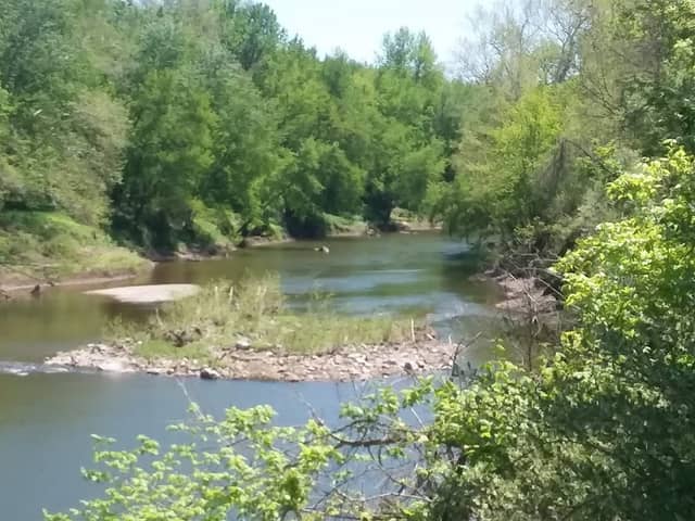 Lamine River Conservation Area - Image 2