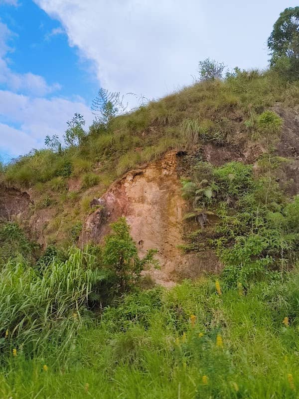 Aayan Rock - Image 1